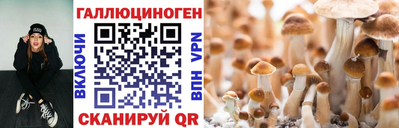 наркотики  площадка Telegram  Псилоцибиновые грибы мухоморы  Новоалтайск 