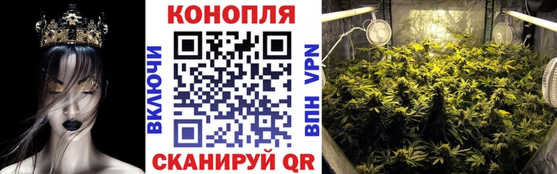 цены   Новоалтайск  МАРИХУАНА семена 